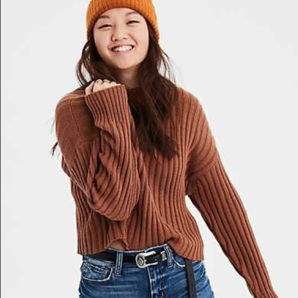 American Eagle mockneck cropped rib sweater